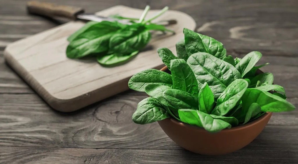 Espinacas frescas en cuenco — vegetal de hoja verde